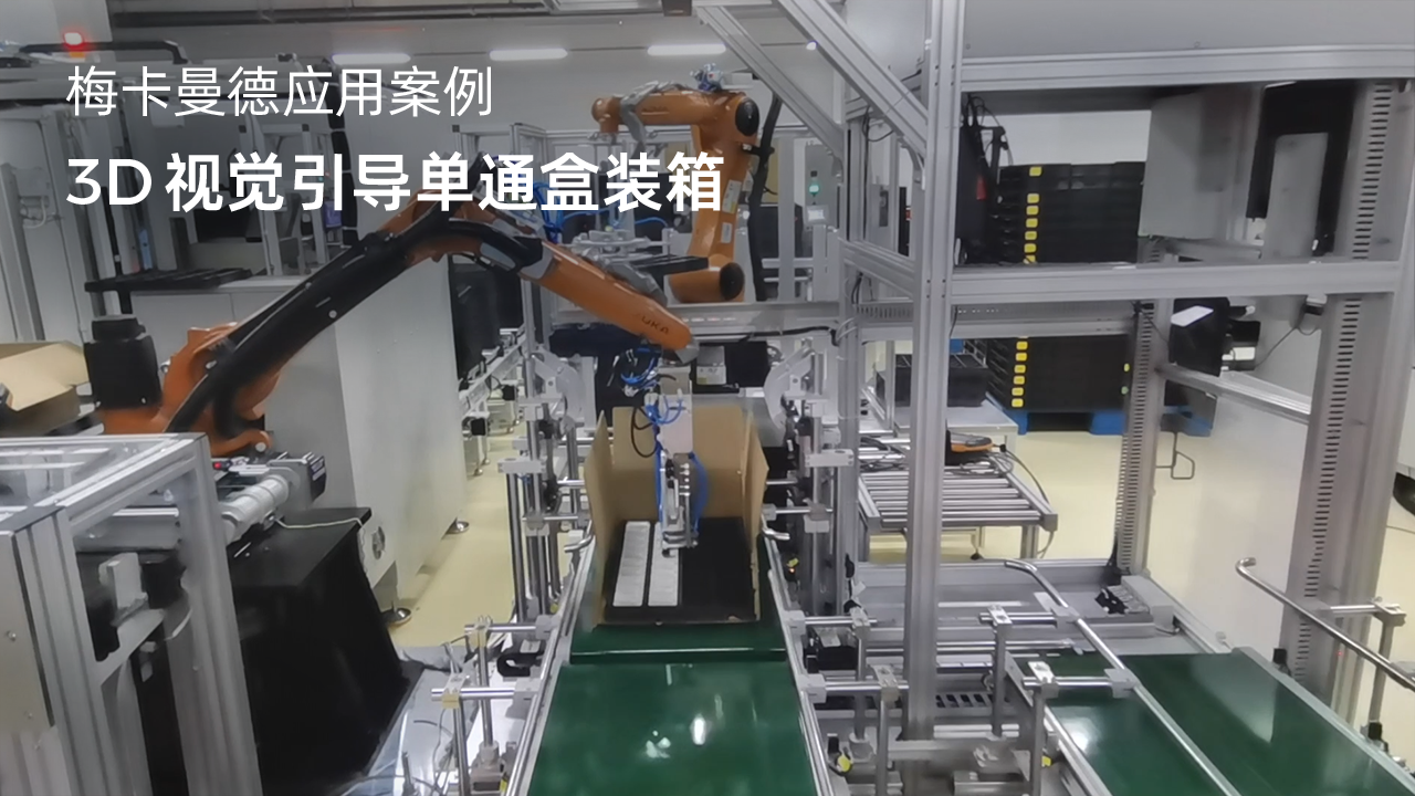 3D視覺引導(dǎo)單通盒裝箱